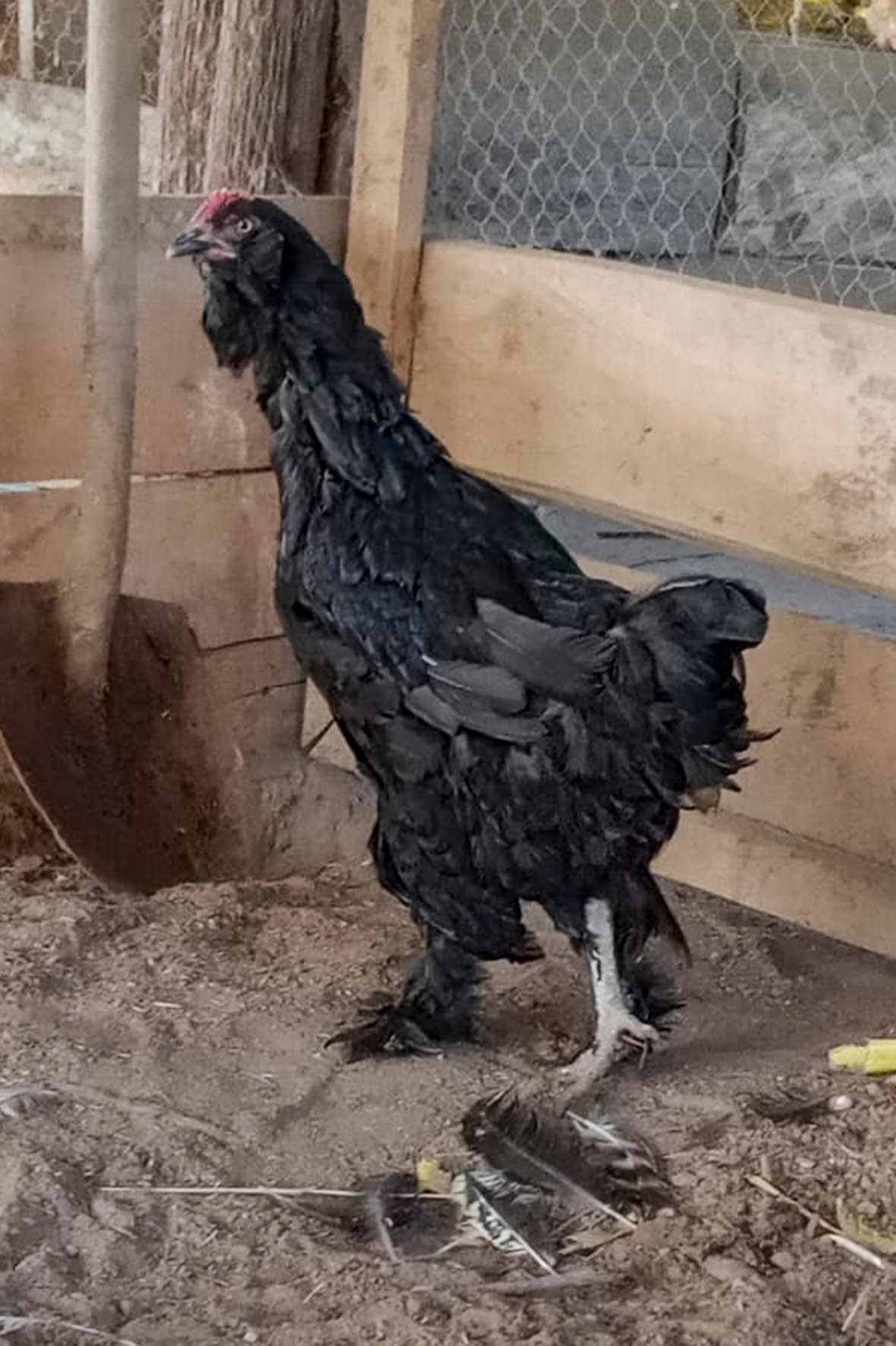 WhatsApp Image 2025-04-03 at 7.35.03 PM copia.jpg